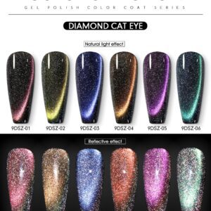 10ml 9D Reflective Cat Eye